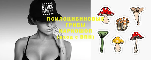 дживик Бородино