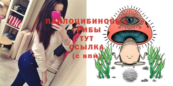 mdpv Верхний Тагил